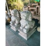 สิงห์หินอ่อน