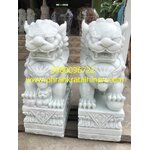 สิงห์หินอ่อน