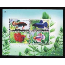 ชีทปลากัด