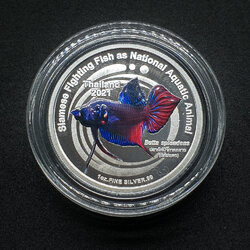 เหรียญปลากัดไทย 2 (เงินขัดเงาลงสี) โดยชมรมคนรักษ์เหรียญ (ตัวที่ 2)