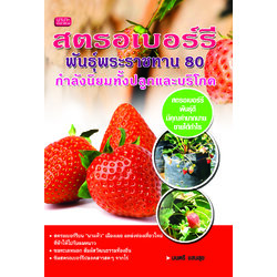 สตรอเบอร์รี พันธุ์พระราชทาน 80