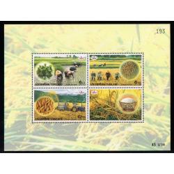 ชีทข้าวไทย