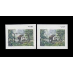 ชีทช้าง แบบปรุ -ไม่ปรุ เลขตรงกัน