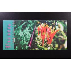 บัตรตราฯแสตมป์ปีใหม่ 2541