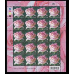 แสตมป์ดอกกุหลาบ 2551 (เต็มแผ่น)