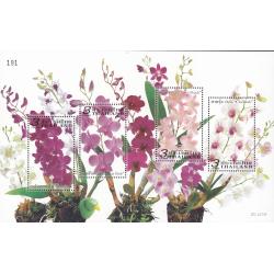 ชีทกล้วยไม้ 2554