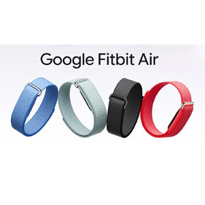 Google Fitbit Air