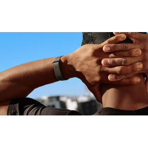 Google Fitbit Air Accessories
