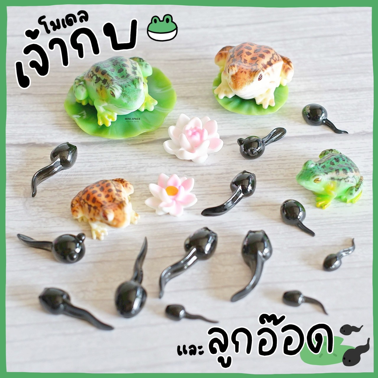 โมเดลเจ้ากบ และลูกอ๊อด MS5918 ตุ๊กตาจิ๋ว โมเดลจิ๋ว เรซิ่นตกแต่ง แต่งสวน งานDIY