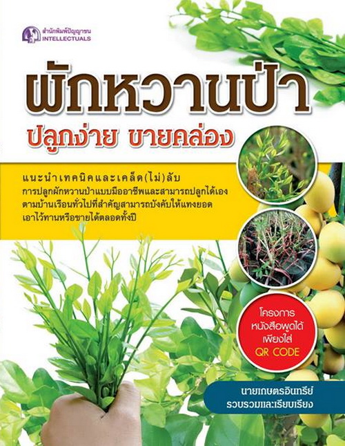 ผักหวานป่า ปลูกง่าย ขายคล่อง
