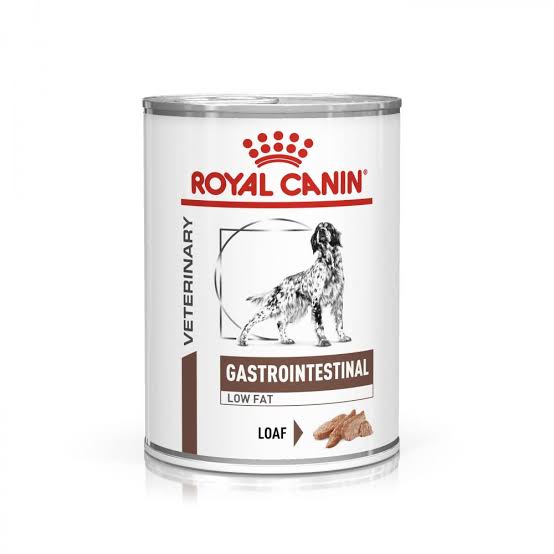 Royal Canin Veterinary Diet Gastro Intestinal Low fat 410 g อาหารสำเร็จรูปชนิดเปียกสำหรับสุนัขโต ประกอบการรักษาสุนัขที่มีปัญหาเกี่ยวกับการย่อย และการดูดซึมไขมัน 410 กรัม