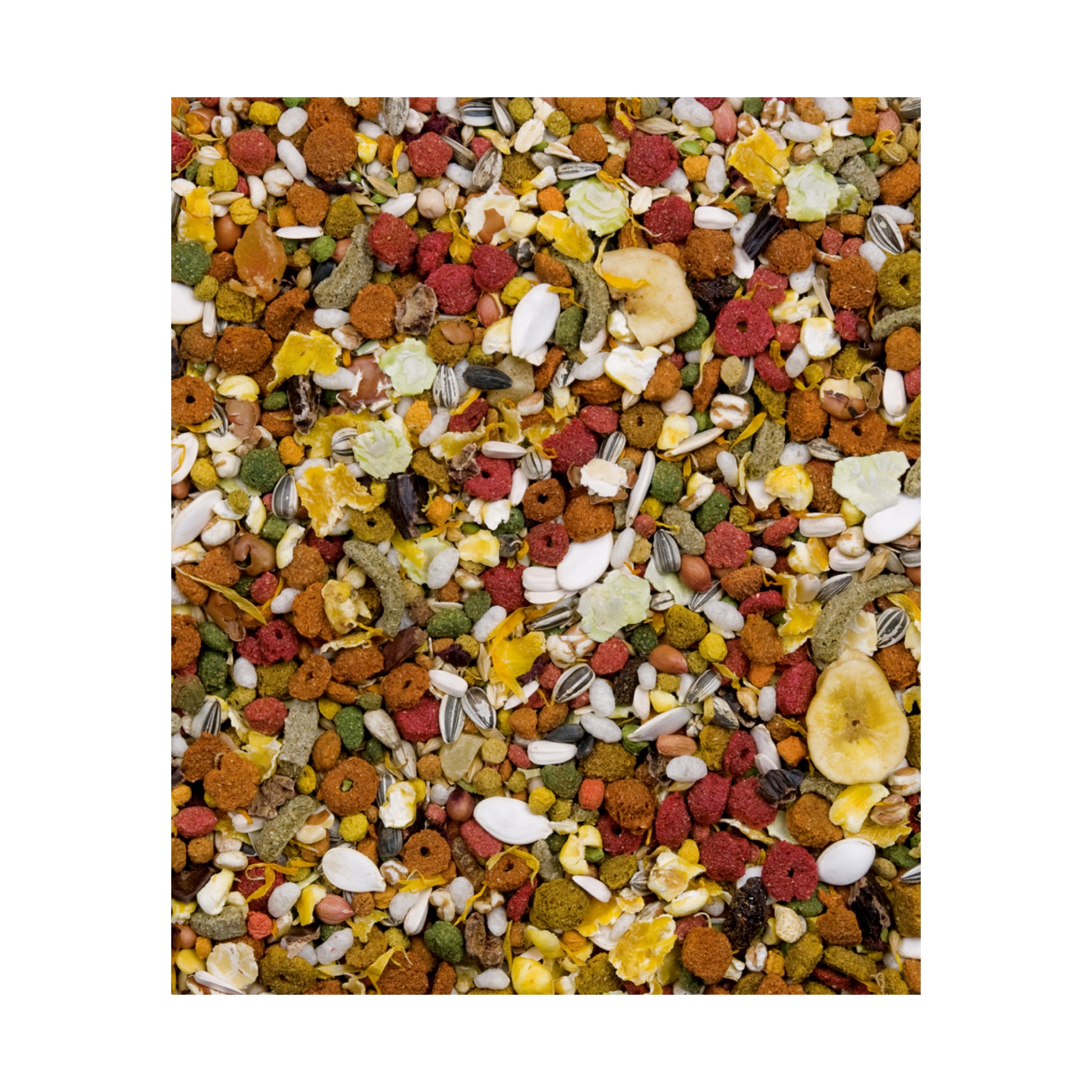 Versele-Laga Hamster nature 700 g เวอร์เซเล ลากา อาหารสำหรับหนูแฮมสเตอร์ ทุกสายพันธุุ์ 700 กรัม