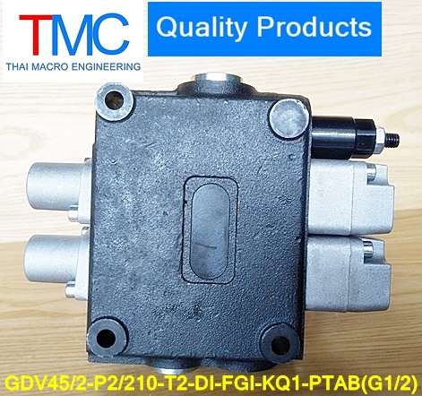 คอนโทรน2แกน4หุนมีcarry over(45-55L)(4,500Psi/310Bar)Quality Products GDV45/2-P2/210-T2-DI-FGI-KQ1-PTAB(G1/2)