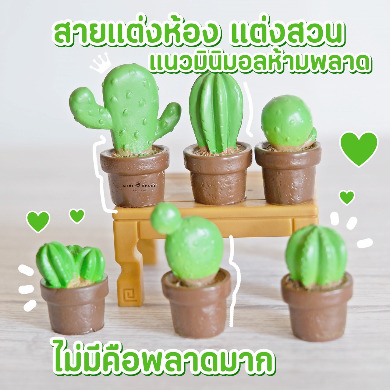 MS4524 กระบองเพชรจิ๋ว 6 แบบ ตุ๊กตาจิ๋ว ขนาดเล็ก สำหรับตกแต่งสวน แต่งบ้าน แต่งกระถาง