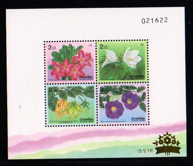 ชีทปีใหม่2539 (ชุด8)