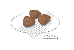 Royal canin Mini Indoor Puppy 500 g รอยัล คานิน อาหารเม็ดสำหรับลูกสุนัขเลี้ยงในบ้านพันธุ์เล็ก อายุ 2-10 เดือน ขนาด 500 กรัม