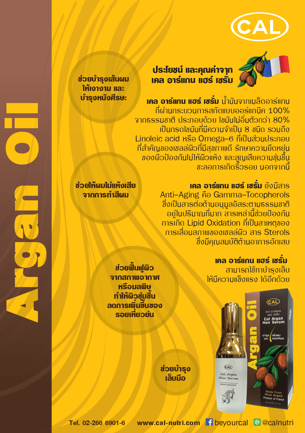 Argan Oil น้ำมันผม