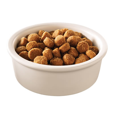 Hill's Science Diet adult small and toy breed 1.5 kg อาหารเม็ด สำหรับสุนัขพันธุ์เล็กอายุ 1-6 ปี ขนาด 1.5 กก.