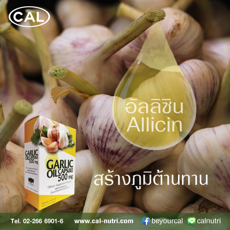 น้ำมันกระเทียมแถมแผงน้ำมันกระเทียม