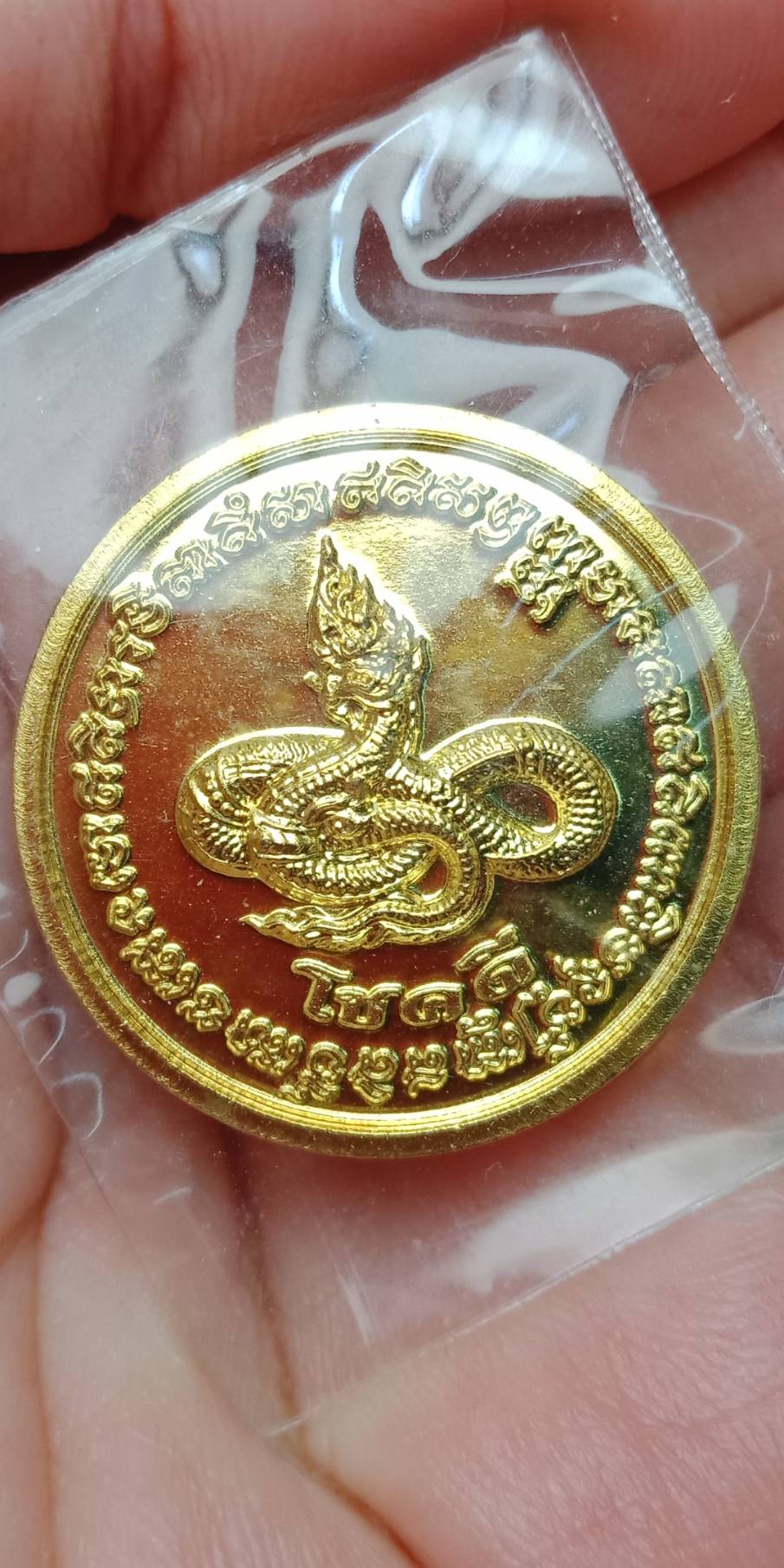 หลวงพ่อรักษ์ อนาลโย เหรียญโชคดี รุ่นขุมทรัพย์นาคราช เนื้อทองฝาบาตร