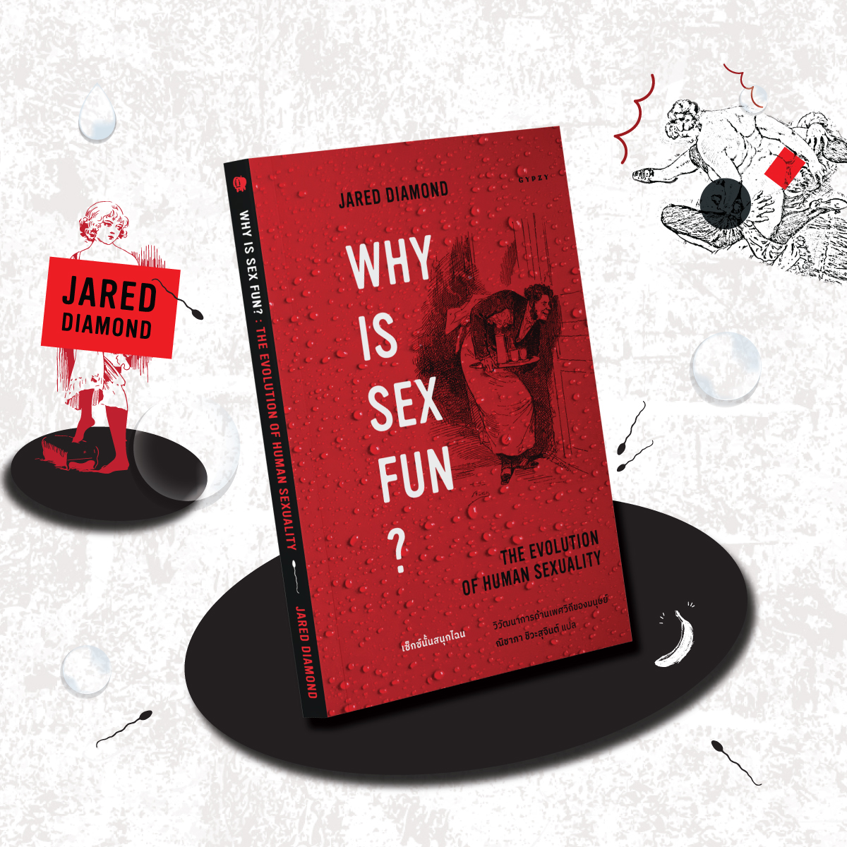 เซ็กซ์นั้นสนุกไฉน วิวัฒนาการด้านเพศวิถีของมนุษย์ : Why is Sex Fun? : The Evolution of Human Sexuality