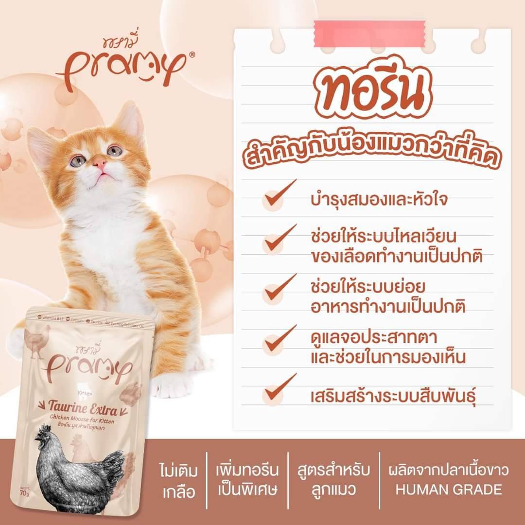 Pramy พรามี่ ไก่มูสสำหรับลูกแมว 70 กรัม