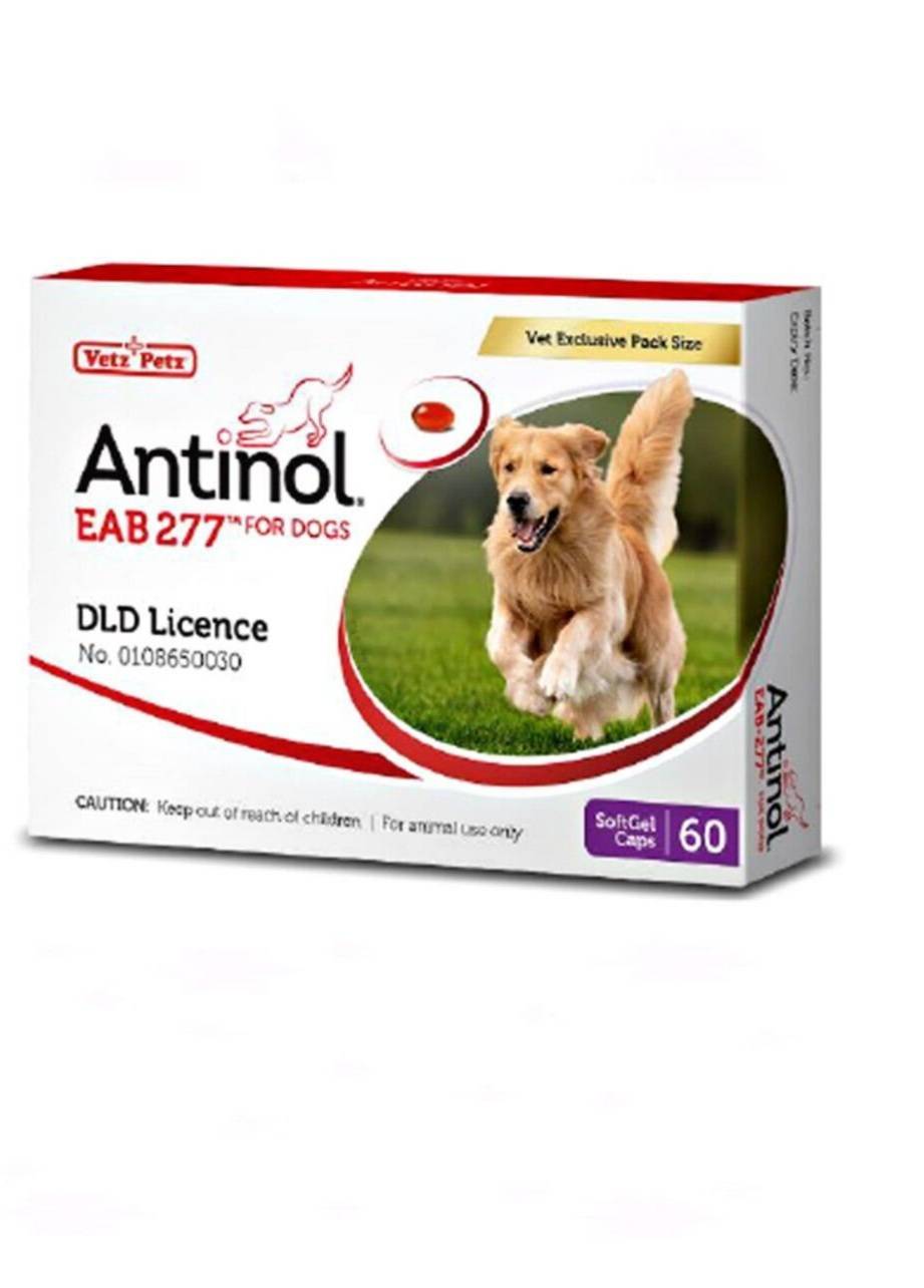Antinol 60 capsules แอนตินอล สารสกัดจากธรรมชาติ100% ช่วยลดการอักเสบ และบรรเทาอาการปวดสำหรับสุนัข ุ60 เม็ด