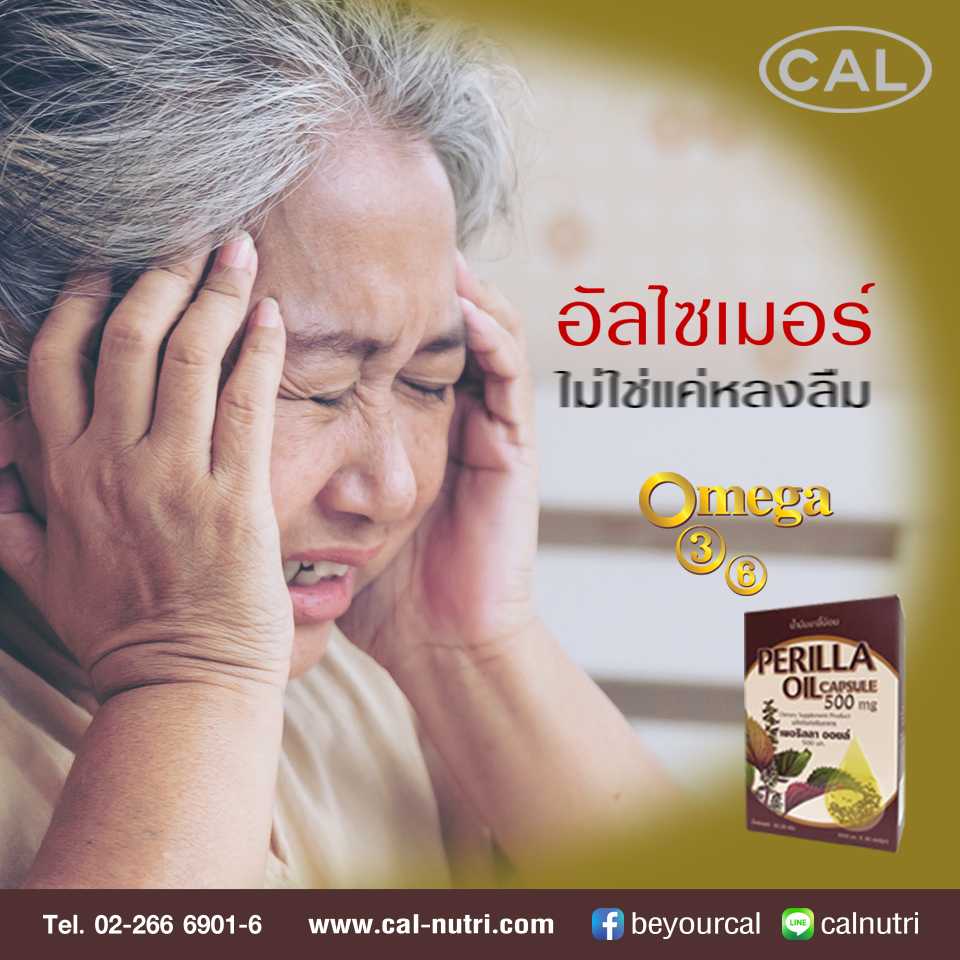 น้ำมันงาม้อนแถมแผงน้ำมันกระเทียม