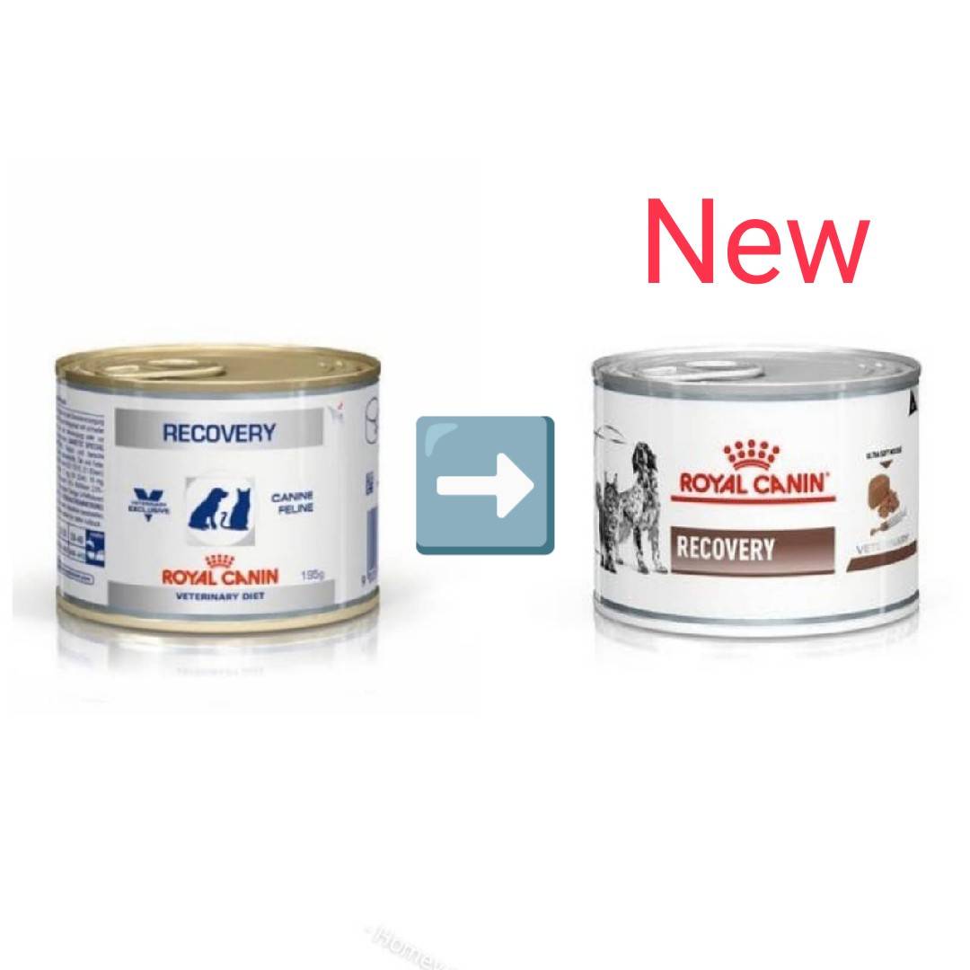 Royal Canin Recovery 195 g อาหารสำหรับสุนัขและแมว พักฟื้น 195 กรัม