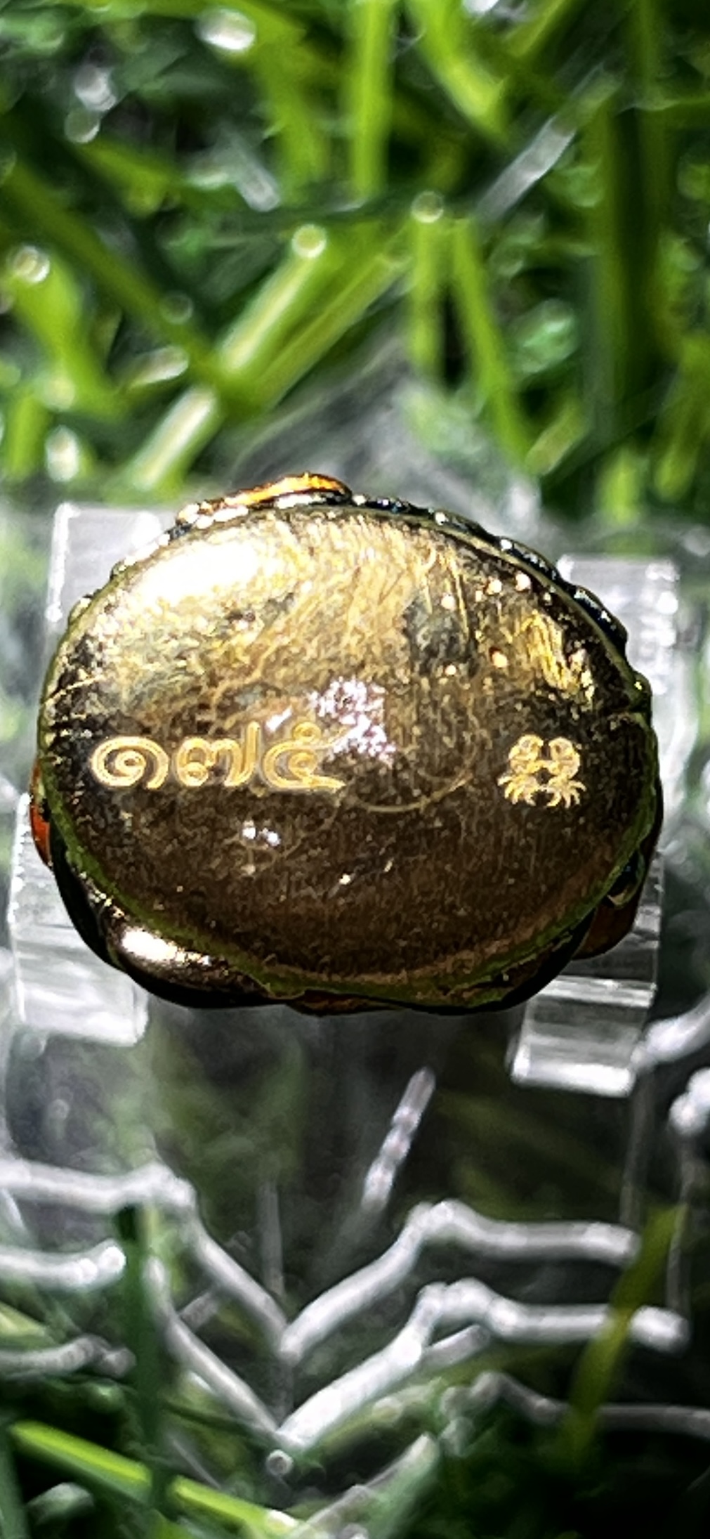 เบ้าทุบนั่งปู รุ่นแรก หลวงปู่นิ่ม โชติธัมโม วัดพุทธมงคล สุพรรณบุรี