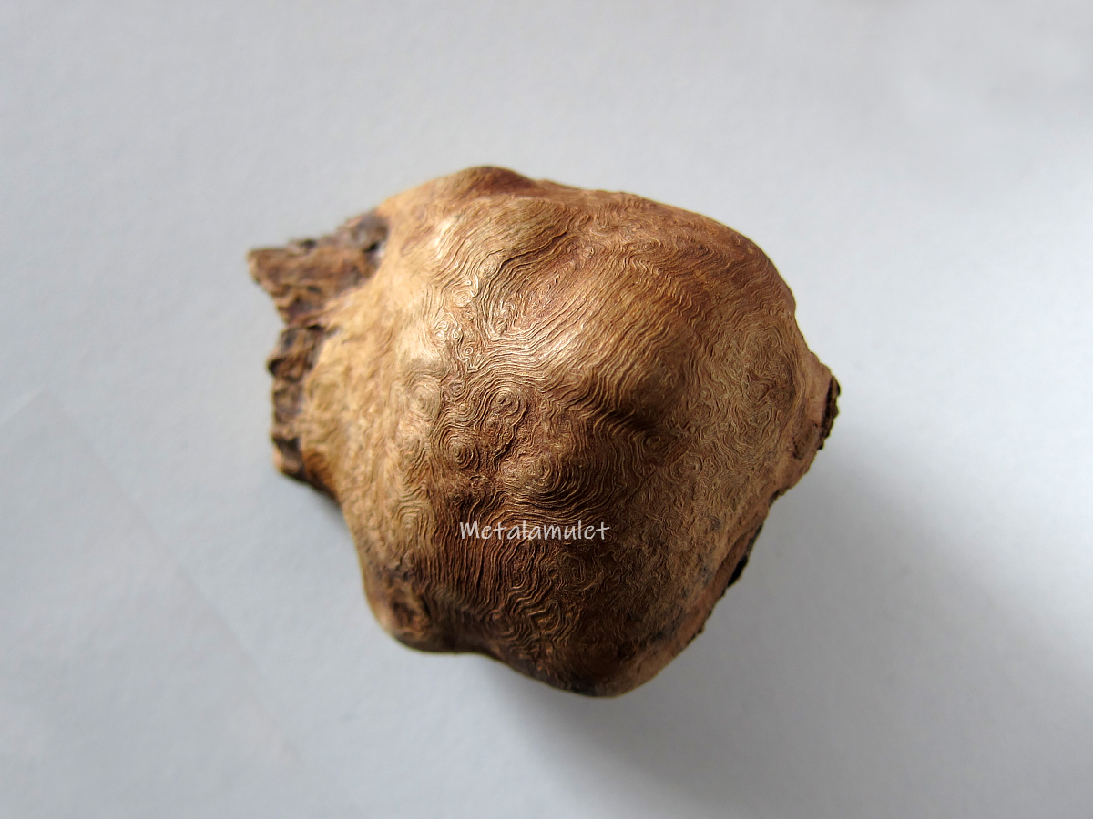 คตตะเคียน( ตาไม้ตะเคียน )