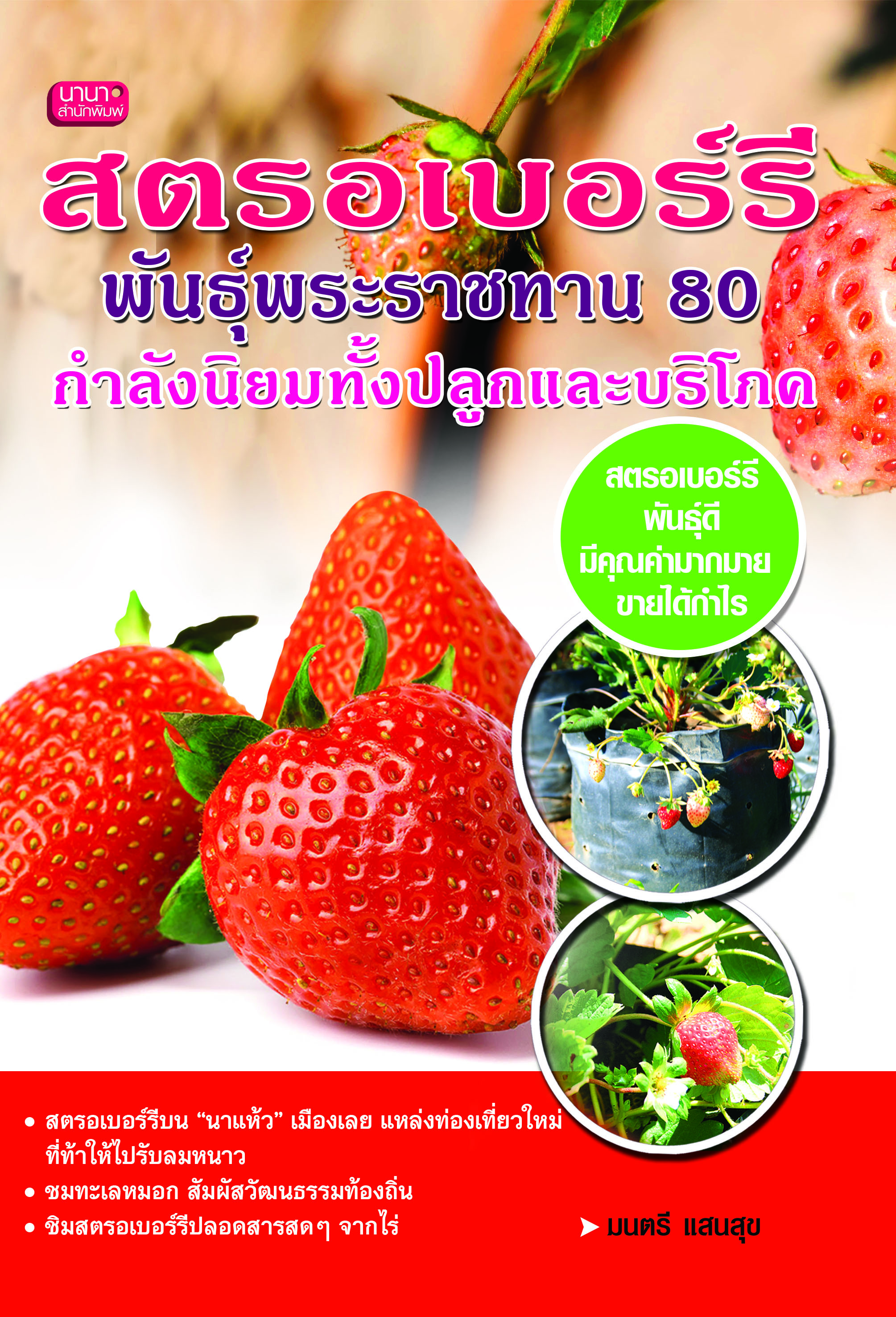 สตรอเบอร์รี พันธุ์พระราชทาน 80