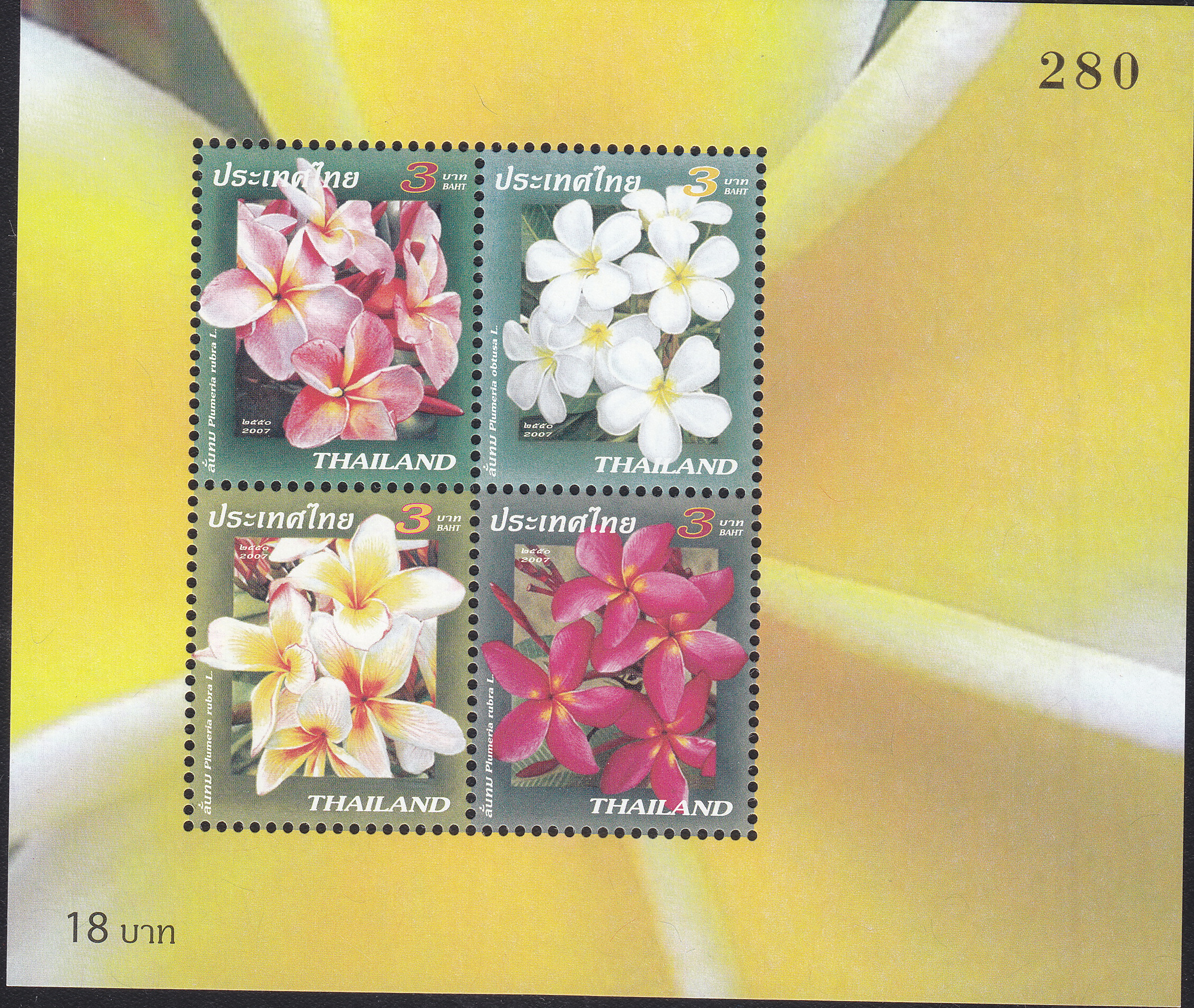 ชีทปีใหม่ 2551 (ชุด20)