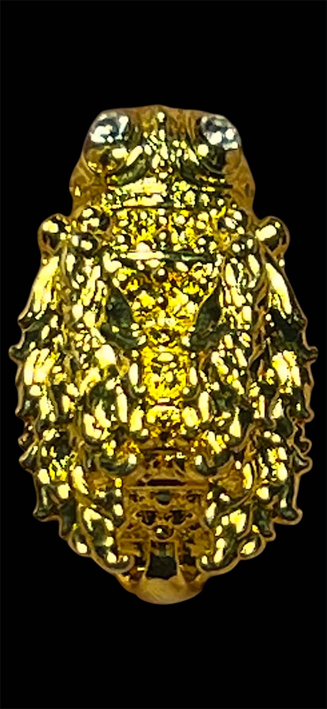 แมลงภู่คำ รุ่น ทรัพย์ภมร ขนาด กว้าง 0.9 cm.*สูง1.4cm.