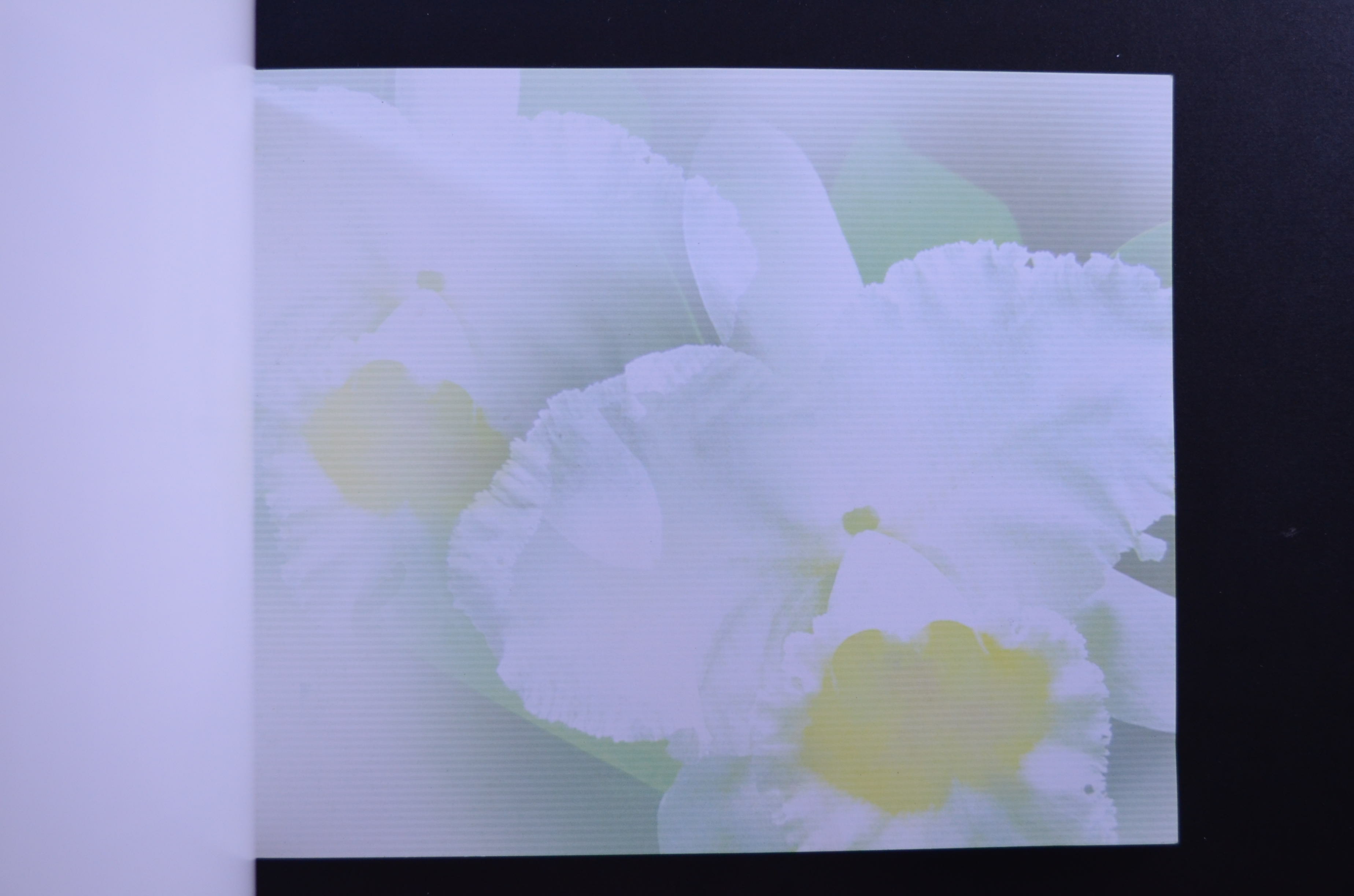 สมุดตราไปรษณียากรประจำปี 2547 (สมุดแสตมป์ประจำปี 2547)