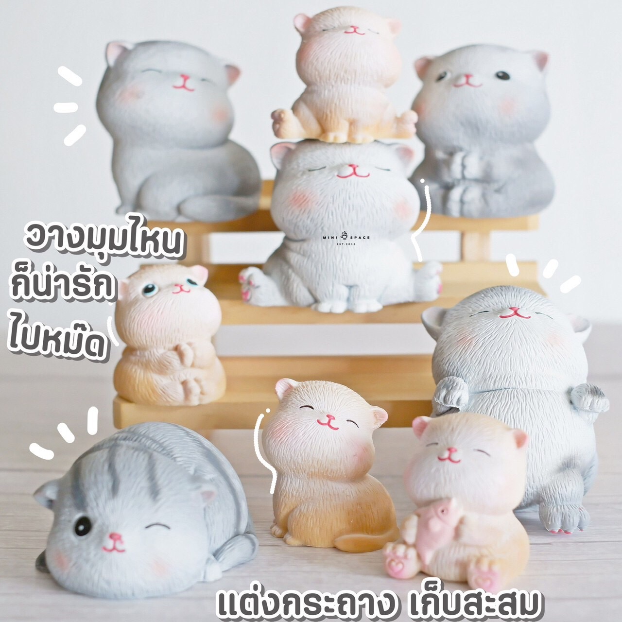 MS5496 Model Cats โมเดลแมวอ้วนสีน้ำตาล 4 แบบ โมเดลแมวญี่ปุ่น ตุ๊กตาแมวน่ารัก