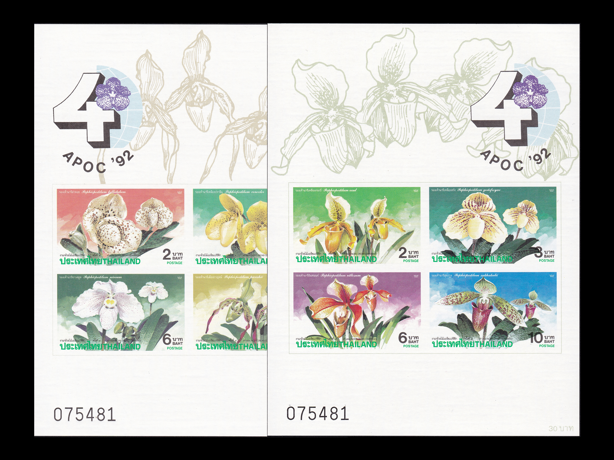 ชีทงานกล้วยไม้เอเชียแปซิฟิก ครั้งที่ 4 แบบปรุ - ไม่ปรุ ครบชุด