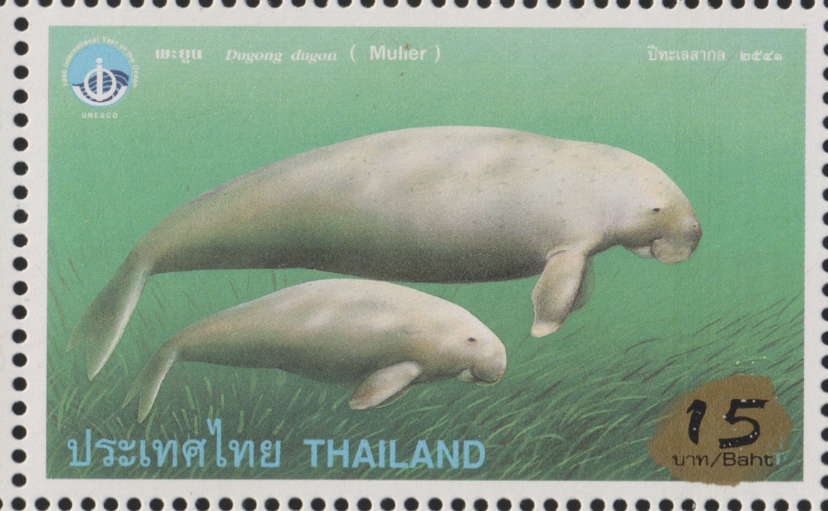 แสตมป์ปีทะเลสากล 2541 (พิมพ์ทับแก้ราคา 15 บาท)