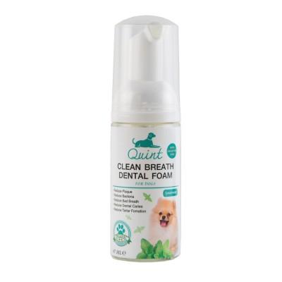 Quint dental foam โฟมดับกลิ่นปาก 47 มล