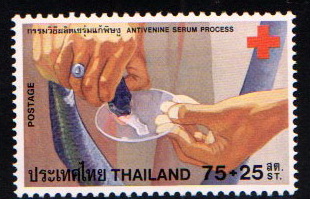 แสตมป์กาชาด 2523 (สภาพนอก)