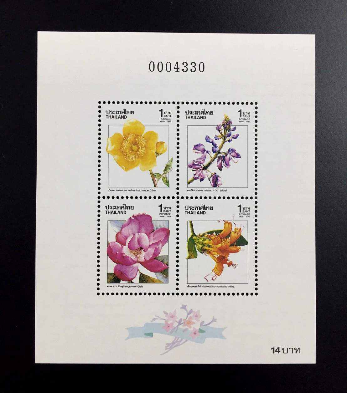 ชีทปีใหม่ 2533 (ชุด 2)