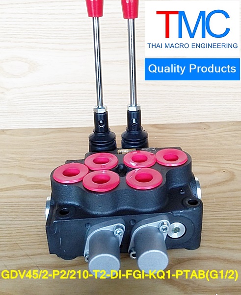 คอนโทรน2แกน4หุนมีcarry over(45-55L)(4,500Psi/310Bar)Quality Products GDV45/2-P2/210-T2-DI-FGI-KQ1-PTAB(G1/2)