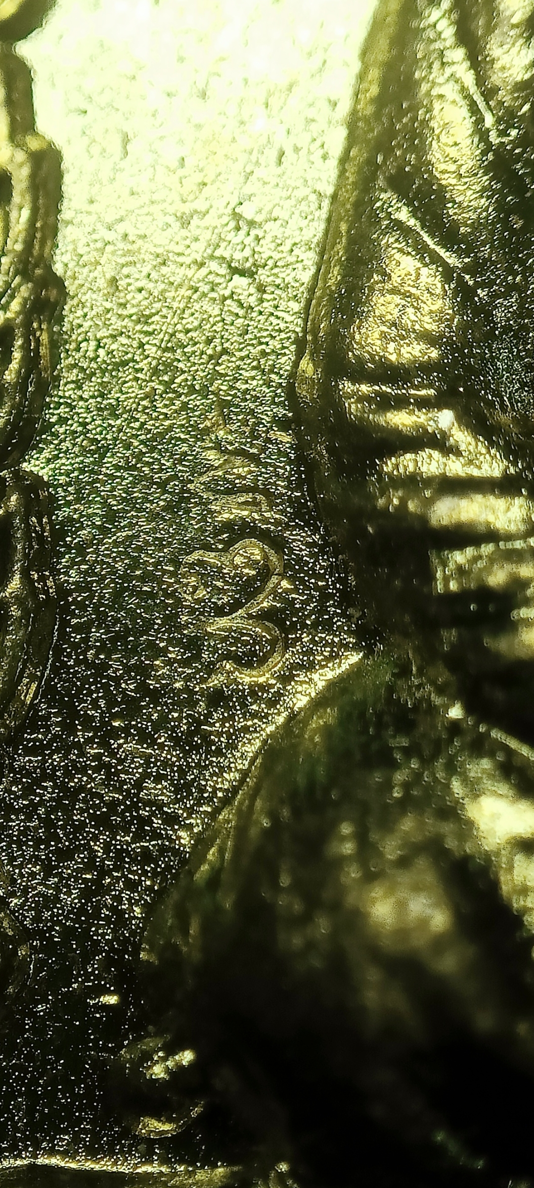 เหรียญแม่ชีบุญเรือน โตงบุญเติม รุ่น ทางขาว ก้าวหน้า ปี 2555