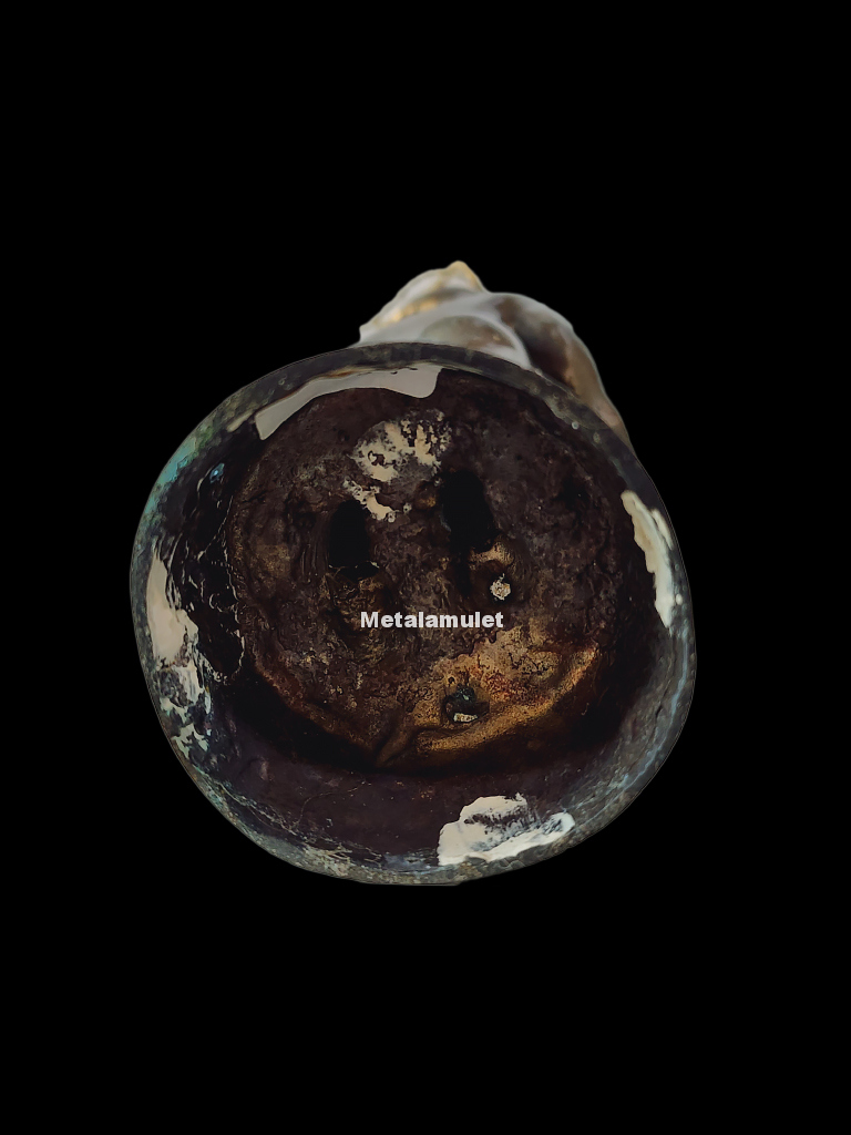 กุมารทองพี่จุก