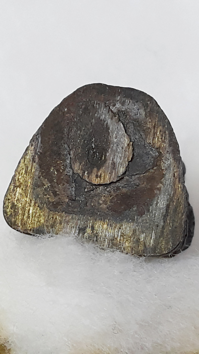 รูปหล่อลอยองค์ หลวงปู่คร่ำ วัดวังหว้า เสาร์5