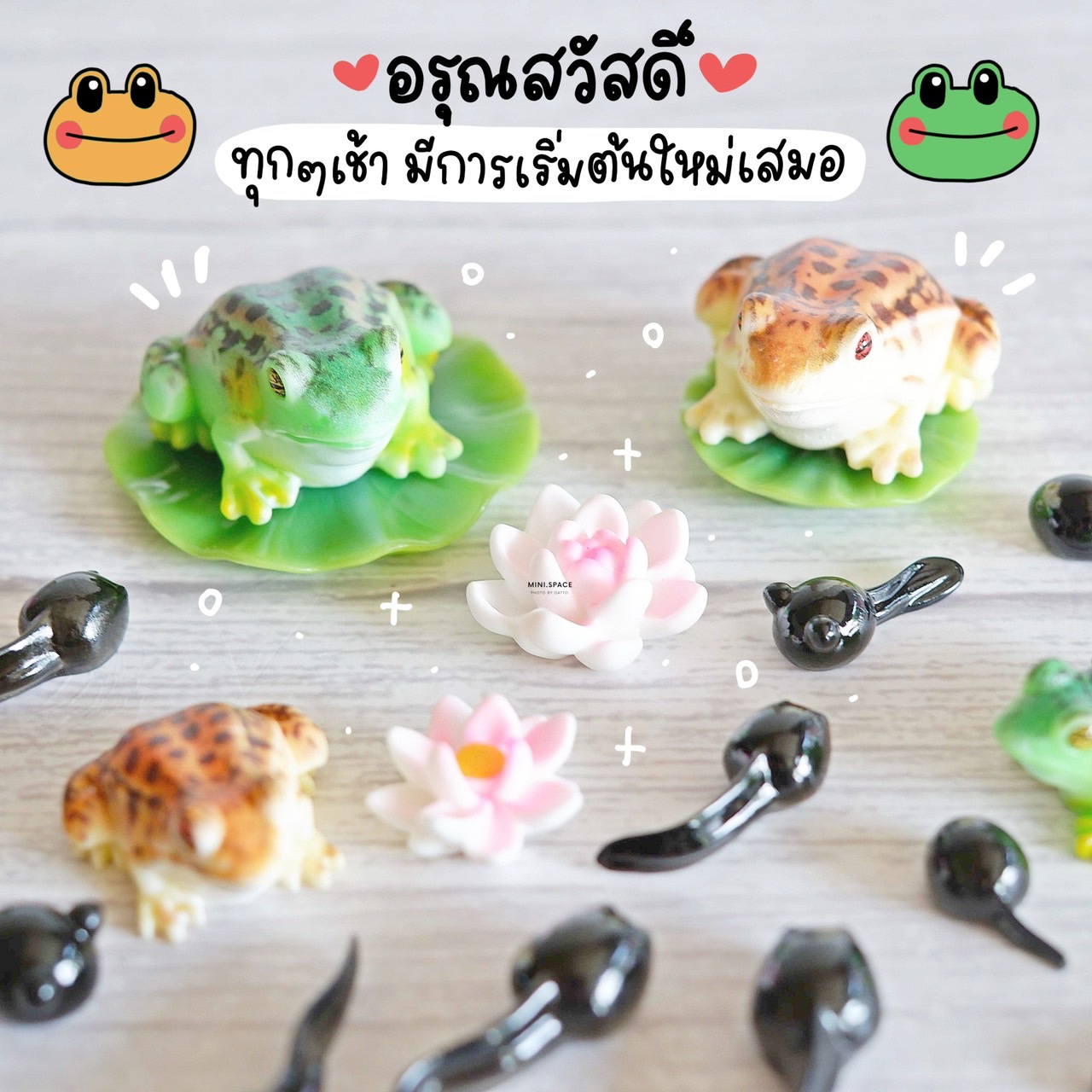 โมเดลเจ้ากบ และลูกอ๊อด MS5918 ตุ๊กตาจิ๋ว โมเดลจิ๋ว เรซิ่นตกแต่ง แต่งสวน งานDIY