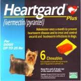 Heartgard Plus ยากินชนิดเคี้ยวสำหรับป้องกันโรคพยาธิหนอนหัวใจ รักษาและควบคุมพยาธิลำไส้ในสุนัข น้ำหนักไม่เกิน 11กก. (25 ปอนด์ ) Exp10/27บรรจุ 6 เม็ด