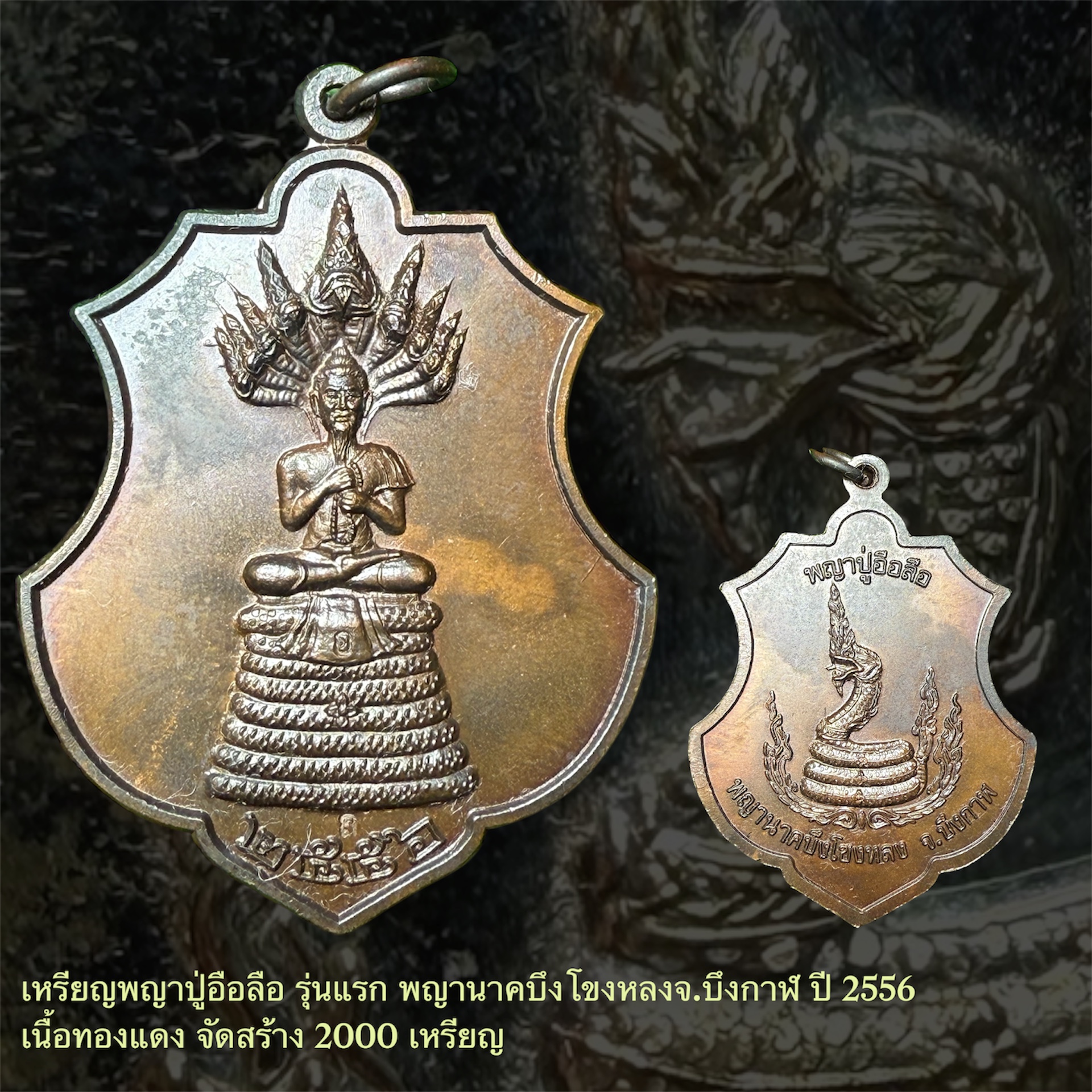 เหรียญพญาปู่อือลือ #รุ่นแรก พญานาคบึงโขงหลง จ.บึงกาฬ ปี 2556 เนื้อทองแดง จำนวนจัดสร้าง 2,000 เหรียญ