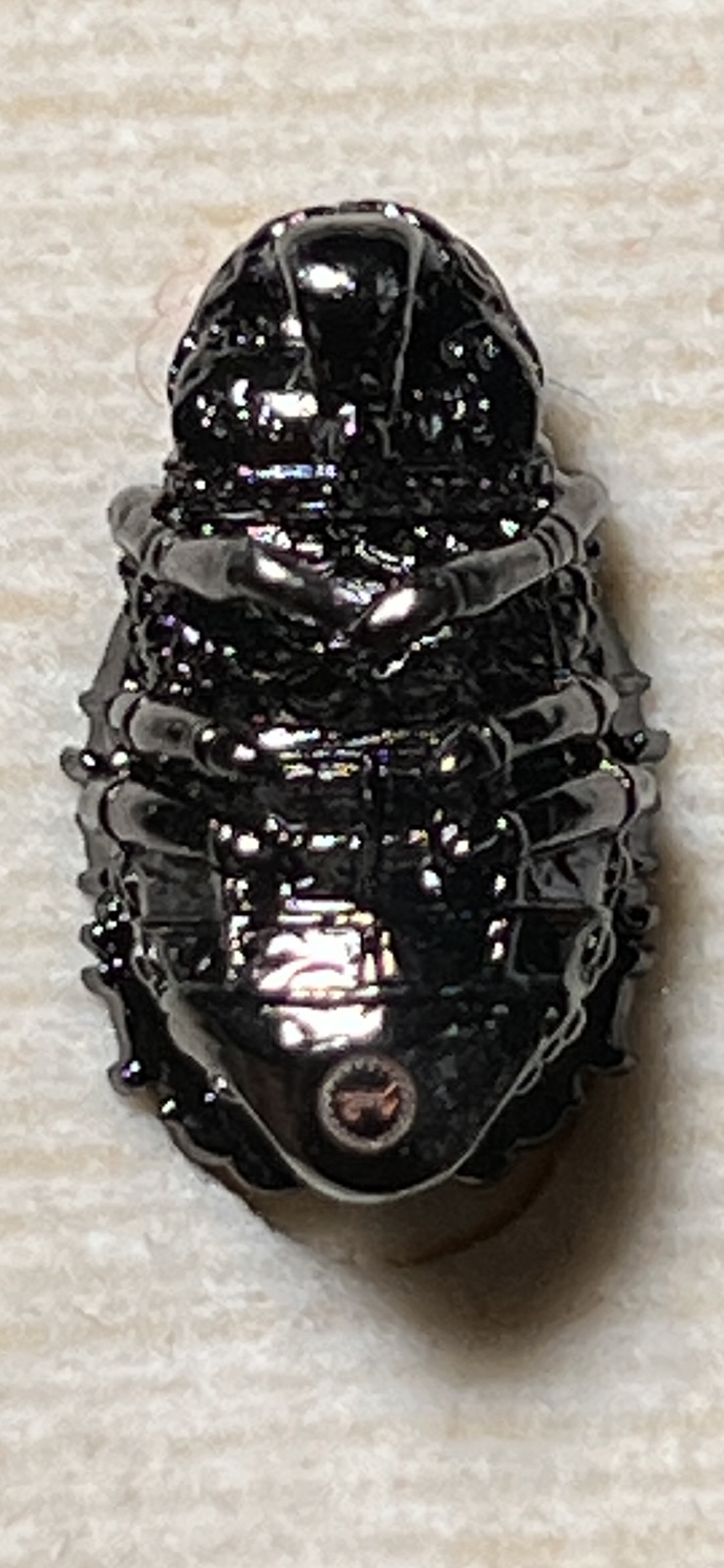 แมลงภู่คำ รุ่น ทรัพย์ภมร ขนาด กว้าง 0.9 cm.*สูง1.4cm.