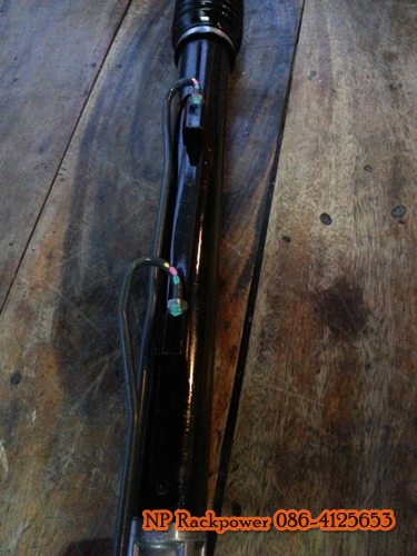 HONDA ACCORD งูเห่า